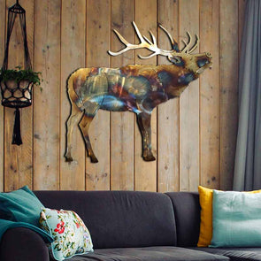 Animal Collection