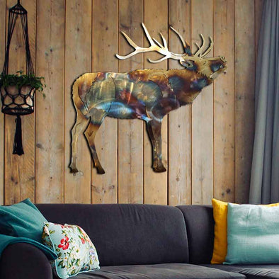 Animal Collection