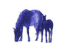 Metal Horse and Colt