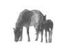 Metal Horse and Colt